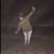 Kristy Rife's profile image