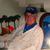 Leonard Andrews's profile image