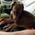 Roger W Pettry's profile image