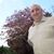 Rob Koenigsberg's profile image