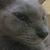 Karen Tokheim's profile image
