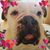 Tamsen Ford's profile image