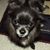 William J Galvin's profile image