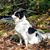 Garyl Strunk's profile image