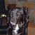Michele Lynberg Black's profile image
