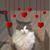 Joy Hilliker's profile image