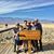Jill Duncan McLeigh's profile image