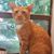 Krissy Gooch's profile image