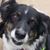 Kelli Burdett's profile image