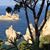 Sharon Rash Fuller's profile image