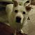 La Lirio Fuentes's profile image