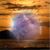Tammy Burks's profile image