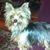 Sue Reinold's profile image