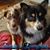 Melonie Payton Knoles's profile image