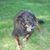 Ruth Albano's profile image