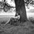 Christina Smoorenburg's profile image