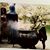 Kathleen Bikel's profile image