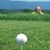 Phil Taylor's profile image