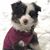 Donahue Franklin's profile image