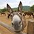 David Moore's profile image