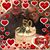 Dona Brown Todarello's profile image