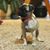 Louise Dunlap's profile image