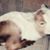 Thelma Riggins's profile image