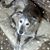 Mary Behm Rogers's profile image