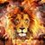 Thomas Clayton Hickman's profile image
