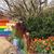 Lori Luke Sultzer's profile image