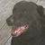 Linda Garrigus Hill's profile image