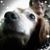 Pena Potter's profile image