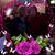 Cheri Neal's profile image
