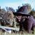 Andie Joel Dowell's profile image