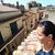 Marcela Esquer's profile image