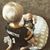 Britney Marie Roseman's profile image