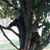 Susan Lashley Vickers's profile image