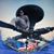Joy Saunders's profile image