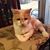 Candace Gaut Giger's profile image