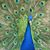 Gigi Corbett Palmer's profile image