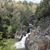 Patti Prine's profile image