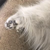 Maria Serna's profile image