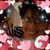 Marsha Morrison's profile image
