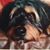 Patrice Sekerak's profile image