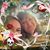 Katrina Wright's profile image