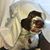 Karla E. Kline-Baertschy's profile image