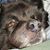 Zechariah Craig's profile image