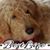 Donna Kanz's profile image