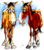 Judy G.'s profile image