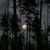 Dianna Wickberg's profile image